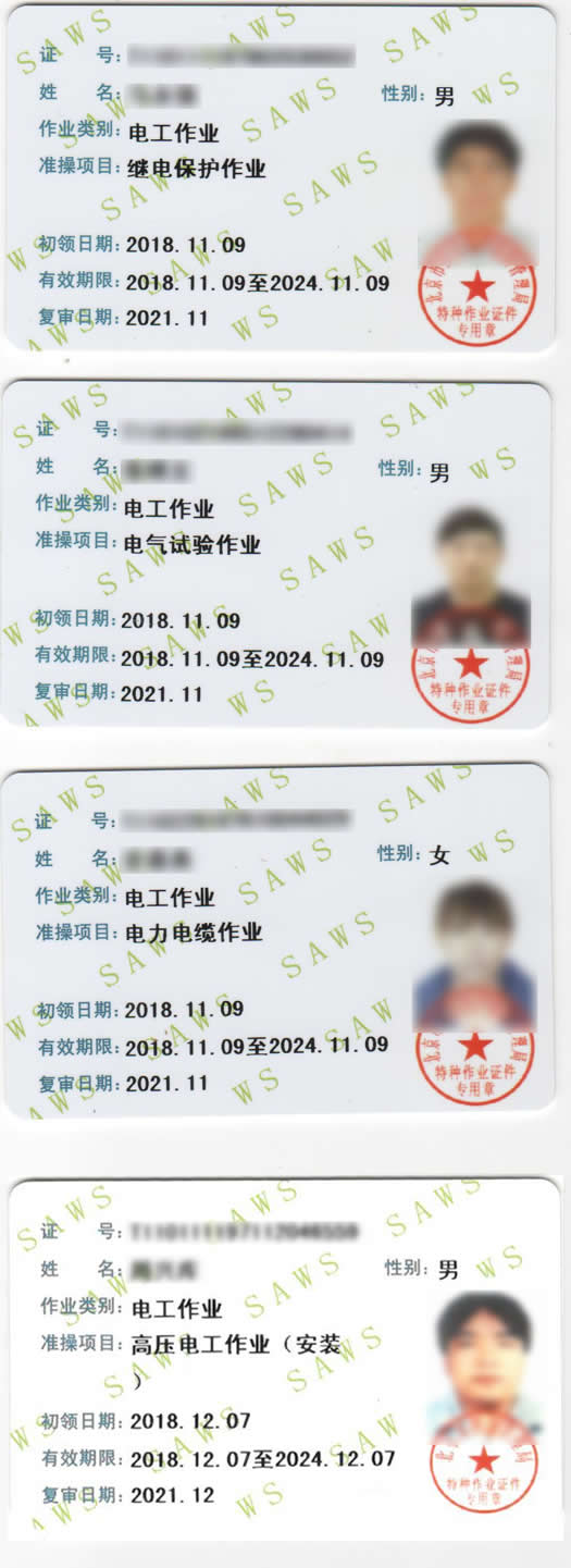 电工进网证